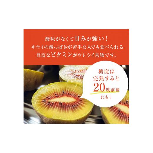 ふるさと納税 富山県 氷見市 氷見産キウイ（レインボーレッド）約1kg（8〜12玉）  ｜　富山県 氷見市 レインボーレッドキウイ 国産 キウイフルーツ