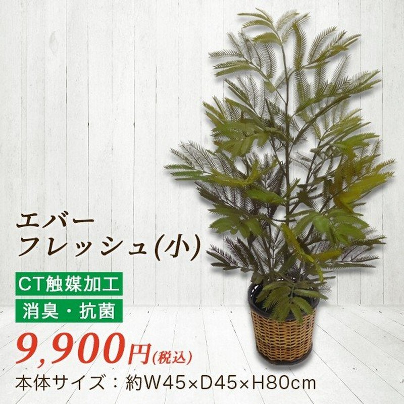 エバーフレッシュ 小 人工観葉植物 フェイクグリーン 造花 Ct触媒加工 フラワー工房 すずの木 インテリア おしゃれ アウトレット 通販 Lineポイント最大0 5 Get Lineショッピング