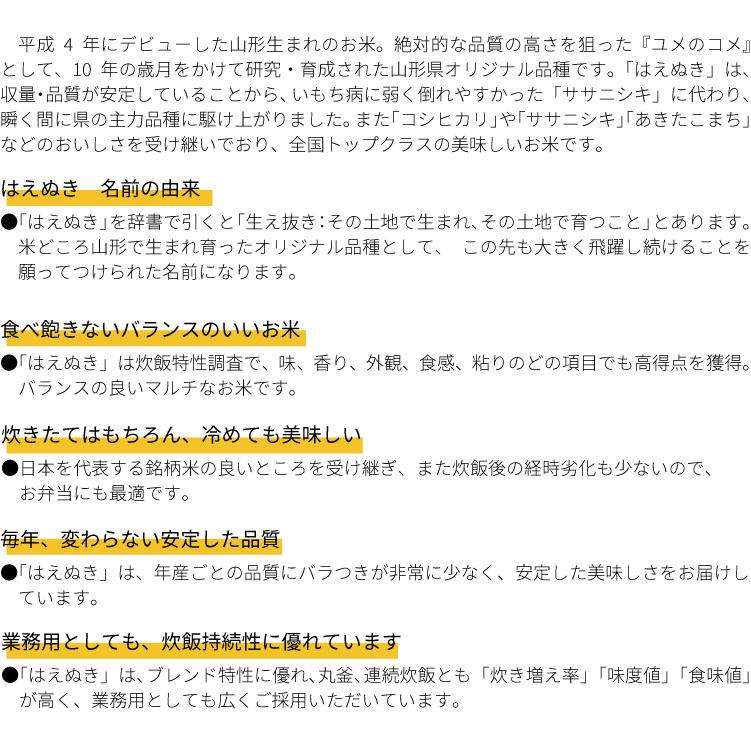 山形県産はえぬき無洗米　5kg