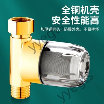 🔥臺灣出貨🔥 4分 不鏽鋼 前置過濾器 家用 自來水 熱水器 馬桶 洗衣機 燃氣 壁掛爐 配件 6・19