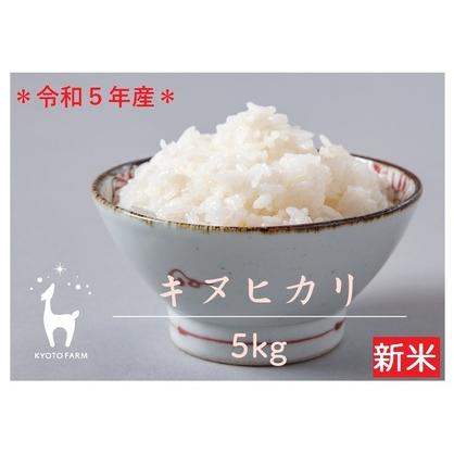 ふるさと納税 令和5年産 京都ファームのキヌヒカリ 精米５kg 京都府京都市