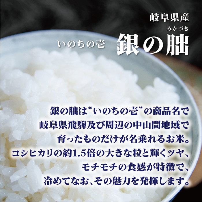 銀の朏 いのちの壱 米 5kg 令和2年産 岐阜県産  米 5キロ 米5kg 米5キロ 白米 送料無料 国内産米 精米 単一原料米 検査米 ブランド米 一等米 保存食