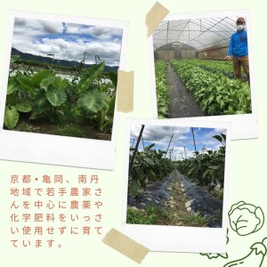 ＜３６９商店＞京都丹波産旬の野菜セット ※全て栽培期間中農薬・化学肥料不使用※