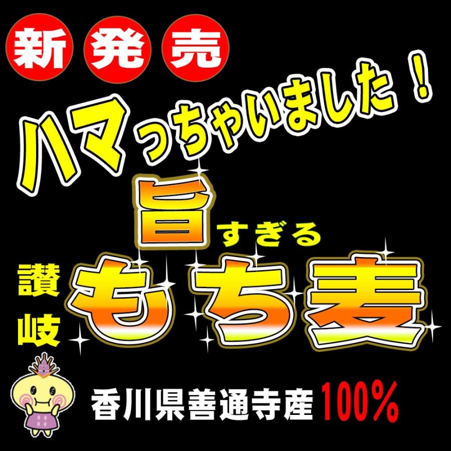 大麦 食物繊維 国産 讃岐 善通寺産 ダイシモチ だいしもち麦 もち麦 健康 栄養 美味しい お試し 四国 お土産