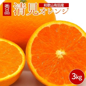 DI6008n_和歌山県有田産 清見オレンジ 3kg 秀品