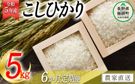 米 こしひかり 5kg × 6回 令和5年産 沖縄県への配送不可 2023年11月上旬頃から順次発送予定 米澤商店 コシヒカリ 白米 精米 長野県 飯綱町 [1350]