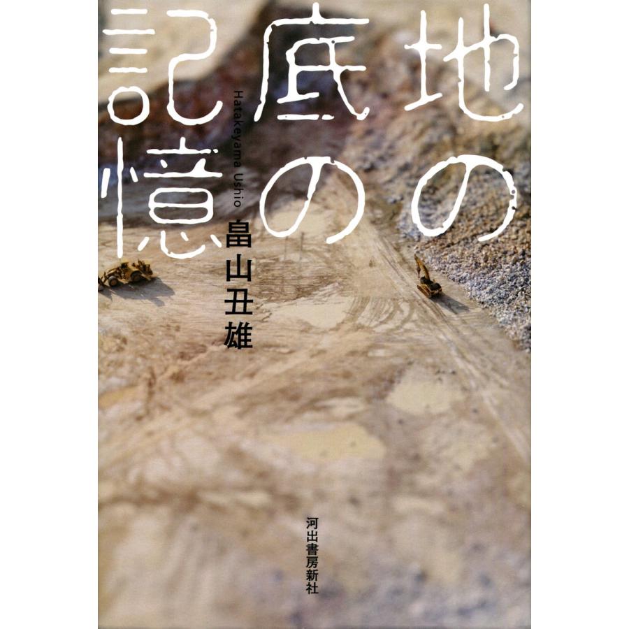 地の底の記憶 電子書籍版   畠山丑雄