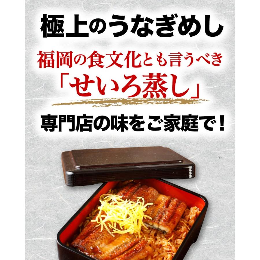 ギフト うなぎめし せいろ蒸し仕立て 8食 うな重  プレゼント 鹿児島県 佐賀県産特別栽培米 山椒 送料無料 クール便