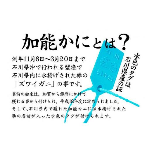 ふるさと納税 石川県 加賀市 石川県産 加能かに／ズワイガニ 産地証明タグ付 大サイズ 2匹   香箱かに 5匹 詰合せ 3〜5人前