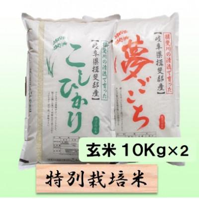 ふるさと納税 池田町 特別栽培米 20kg(コシヒカリ 夢ごこち)