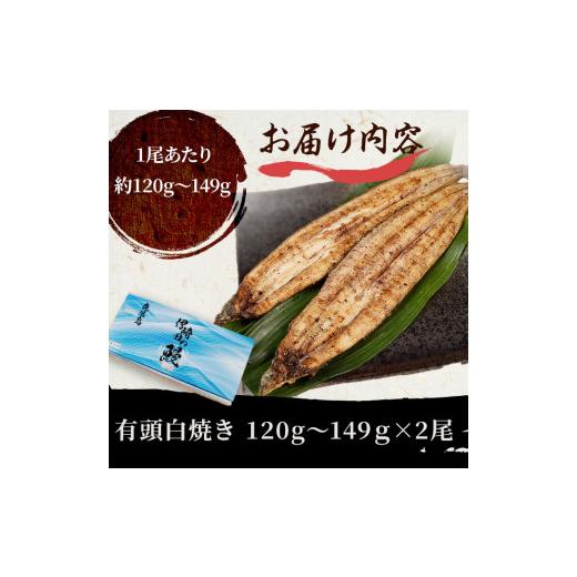 ふるさと納税 鹿児島県 志布志市 鹿児島県産 伊崎田のうなぎ白焼き ＜120g以上＞× 2尾(計240g以上) a4-022