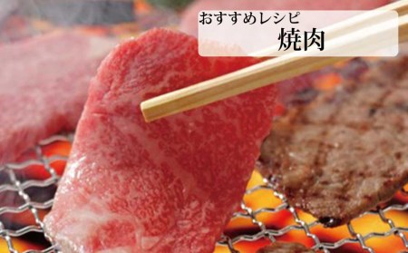 美渓牛 焼肉 おまかせ2種 600g