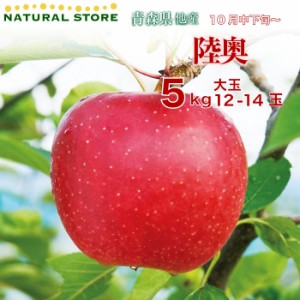 [予約 2023年12月1日-12月31日の納品] 陸奥 12玉-14玉（大玉）5kg 化粧箱 りんご 長野県産 青森県産 岩手県産 むつ ギフト