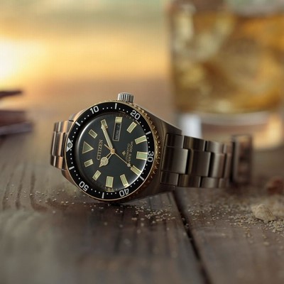 シチズン プロマスター NY0125-83E CITIZEN Watch PROMASTER NY0125-83E [Marine Series Mechanical