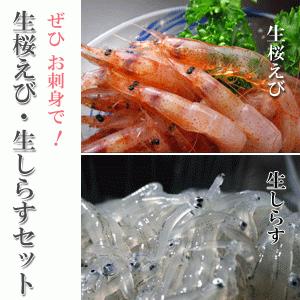 生桜えび100g×2、生しらす100g×2、セット 静岡県産