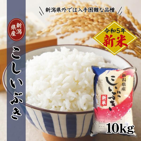 令和5年度 10kg 新潟産 こしいぶき  精米 白米 産直 ギフト