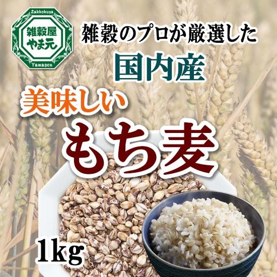 国内産 もち麦 1kg 送料無料