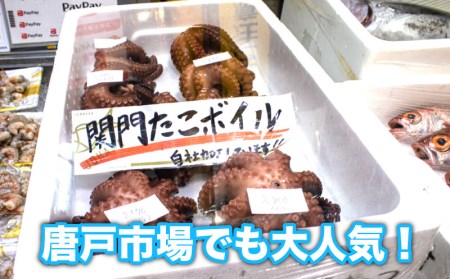 たこ 1kg 関門たこ ボイル 冷凍 たこ 関門タコ 関門たこ たこ焼き タコ焼き ボイルたこ ボイルタコ 冷凍たこ 冷凍タコ 蛸 FY001