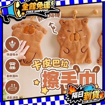 台灣現貨 可愛水豚擦手巾 可掛式 加厚擦手巾 擦手毛巾 可掛式擦手巾 珊瑚絨擦手巾 擦手巾 擦手巾【H510】
