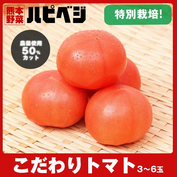 こだわりトマト3-6玉入り 同梱専用　※こちらの商品は野菜セット購入した方のみの同梱商品になります。