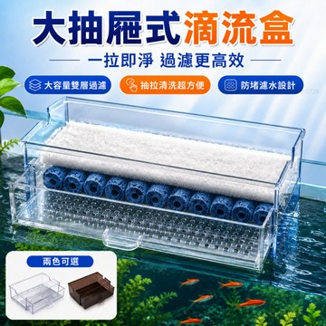 🔥包破損🔥大抽屜式滴流盒 抽屜式透明抽屜式過濾盒 抽屜式便當盒 過濾盒 上部過濾器 抽屜式過濾盒 抽屜式便當盒