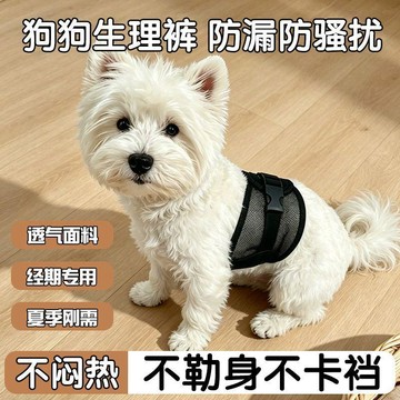 【48時熱賣】春夏新款狗狗生理褲網眼網布透氣月經褲可水洗禮貌帶尿布防亂尿