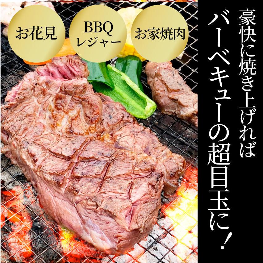 オージー 焼肉 セット 牛肉 肉 1ポンド ステーキ 5枚セット 牛肩ロース 450g×5 ブロック ワンポンド ワンポンドステーキ メガ盛り 熟成肉 キャンプ キャンプ飯