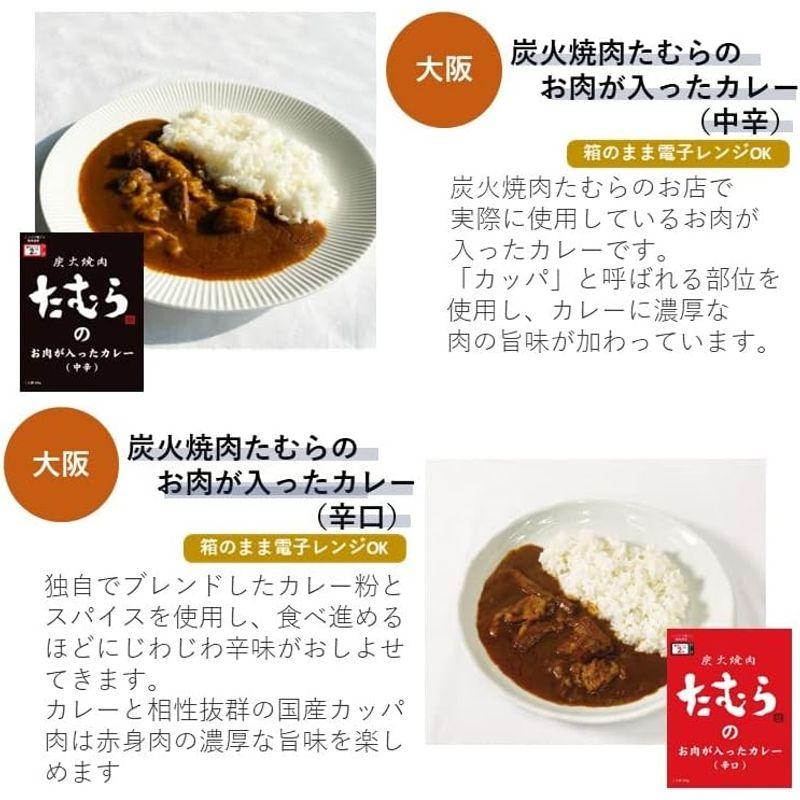 レトルトカレー ご当地カレー ビーフカレー キーマカレー 富士山 カレー 詰め合わせ 10種 セットアレンジレシピ1枚付き