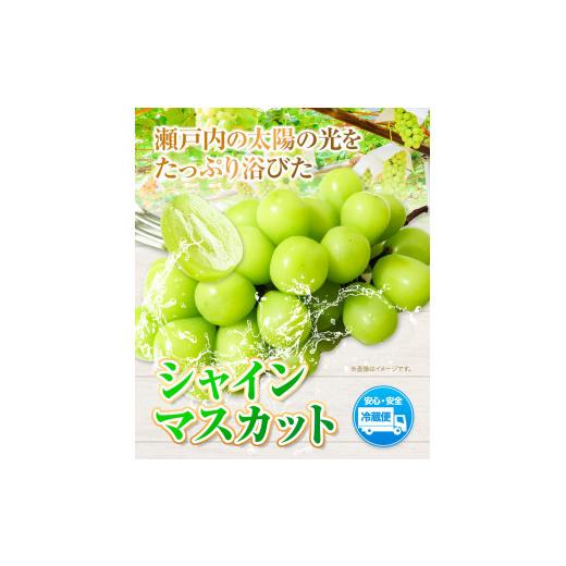 ふるさと納税 岡山県 浅口市 シャインマスカット 1房 700g ウィズフラワーホールディングス《9月上旬-10月中旬頃出荷》岡山県 浅口市 ぶど…