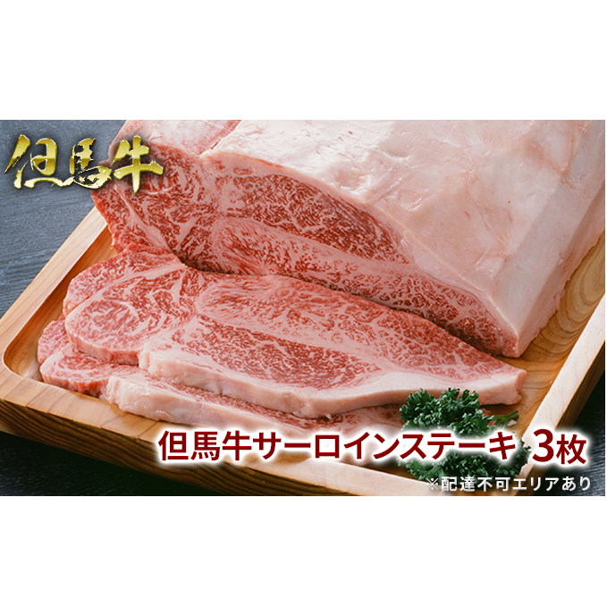 但馬牛 サーロイン ステーキ 200g×3枚 計600g[ 牛肉 お肉 ブランド牛 キャンプ BBQ アウトドア バーベキュー ギフト