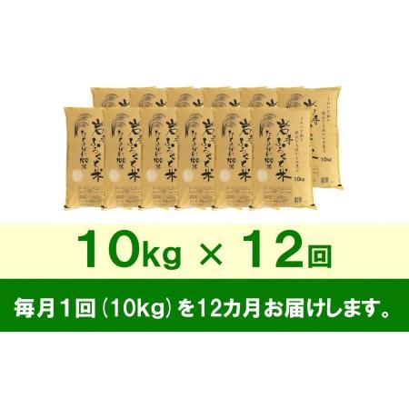 ふるさと納税 3人に1人がリピーター!☆全12回定期便☆ 岩手ふるさと米 10kg×12ヶ月 令和5年産 新米 一等米ひとめぼれ 東北有数のお米の産地.. 岩手県奥州市