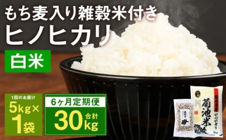 熊本県菊池産 ヒノヒカリ 精米 計30kg(5kg×6) もち麦入り雑穀米 計1.2kg(200g×6) 米 お米 低温保管 残留農薬ゼロ