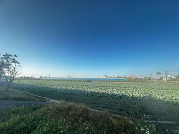 ☘️農地☘️『嘉義縣朴子農地』☘️都市計畫內角地｜嘉義縣朴子市新寮段