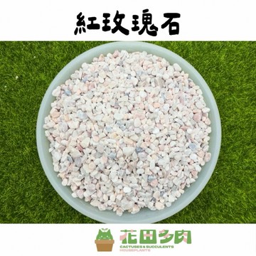 《花田多肉》🌵【紅玫瑰石】 500ml 介質/鋪面石/彩色石頭/多肉/仙人掌/園藝/盆栽/組盆