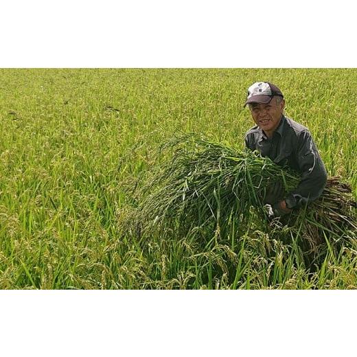 ふるさと納税 岩手県 一関市 自然栽培米 ササニシキ 5kg×2 (計10kg×12回)