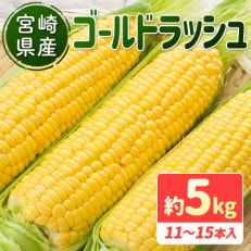 宮崎県産　南国宮崎育ち　ゴールドラッシュ　約5kg(11本～15本)