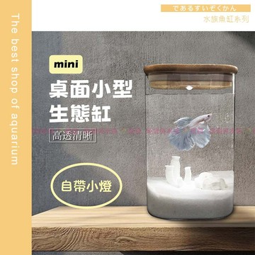 魚寶貝【Mini 玻璃桌缸（含燈）】💖桌面迷你魚缸（生態魚缸 迷你魚缸 辦公室魚缸 鬥魚缸 玻璃魚缸 桌缸 魚缸