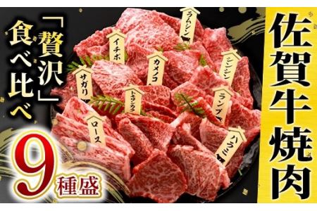 佐賀牛食べ比べ！！焼肉セット9種盛WS1004