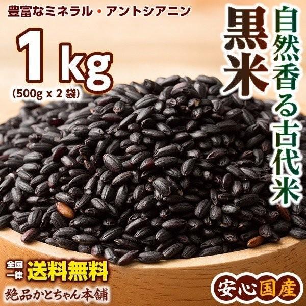 雑穀 雑穀米 国産 黒米 900g(450g×2袋) （翌日発送） 送料無料 厳選 もち黒米 ダイエット食品 置き換えダイエット 雑穀米本舗