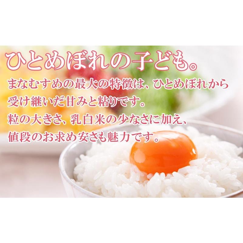 新米 令和5年産 米5kg  まなむすめ    お米   精米　白米 宮城県産