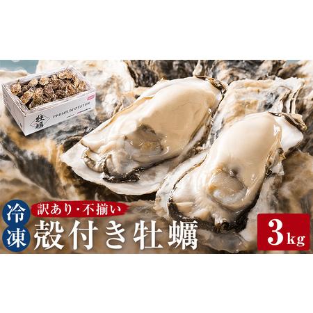 ふるさと納税 ＜訳あり・不揃い＞冷凍殻付き牡蠣 3kg 宮城県 石巻市 三陸産 カキ かき 加熱用 宮城県石巻市