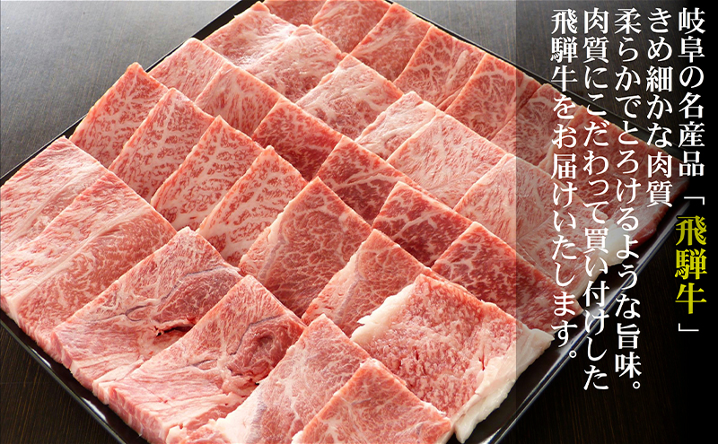 牛肉 飛騨牛 焼き肉 セット 赤身 モモ 又は カタ 1kg 黒毛和牛 Ａ5 美味しい お肉 牛 肉 和牛 焼肉 BBQ バーベキュー 