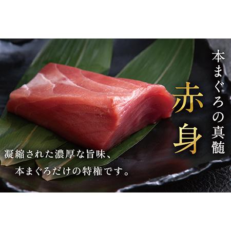 ふるさと納税 絶品！生本マグロ 赤身 250g（柵どり） 福井県越前市