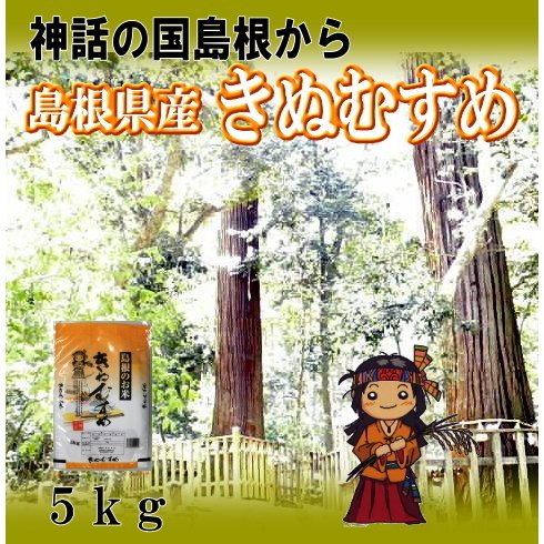 令和5年産　お米5kg 島根のお米　きぬむすめ　粒より選別