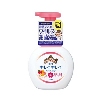 日本獅王趣淨洗手慕斯250ml_清新果香