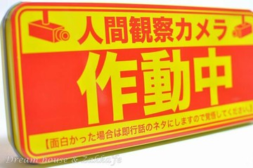 日本原裝進口 金屬解悶鉛筆盒/小物置物盒/鐵盒 《 人間觀察 》★ 日本製 ★