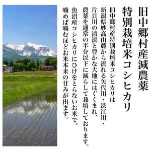 ふるさと納税 新潟県旧中郷村減農薬特別栽培米コシヒカリ 10kg 新潟県