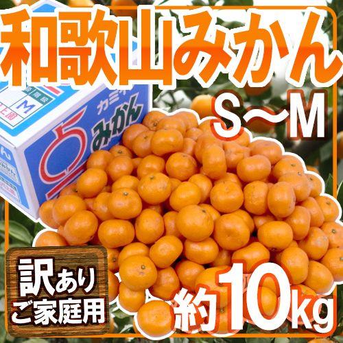 みかん ”和歌山みかん” 訳あり S〜Mサイズ 約10kg 送料無料