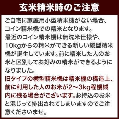 新米 玄米 25kg 中魚沼産コシヒカリ 令和5年産 新潟産 送料無料 （北海道、九州、沖縄除く）