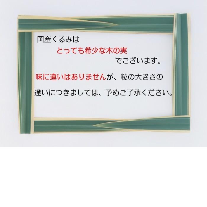 国産 特選くるみ 殻付きタイプ 500g 長野県産 生くるみ ナッツ 信州特産 プレミアム